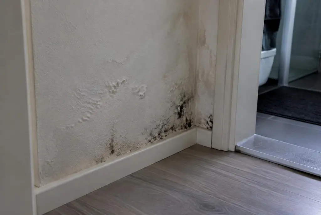 Lekdetectie Zeewolde – vochtplek met schimmel op een muur